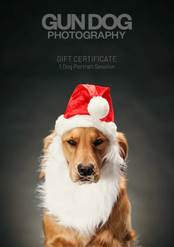 Gift Certificate - Studio Portrait Session