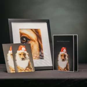 Holiday Prints Gift Package