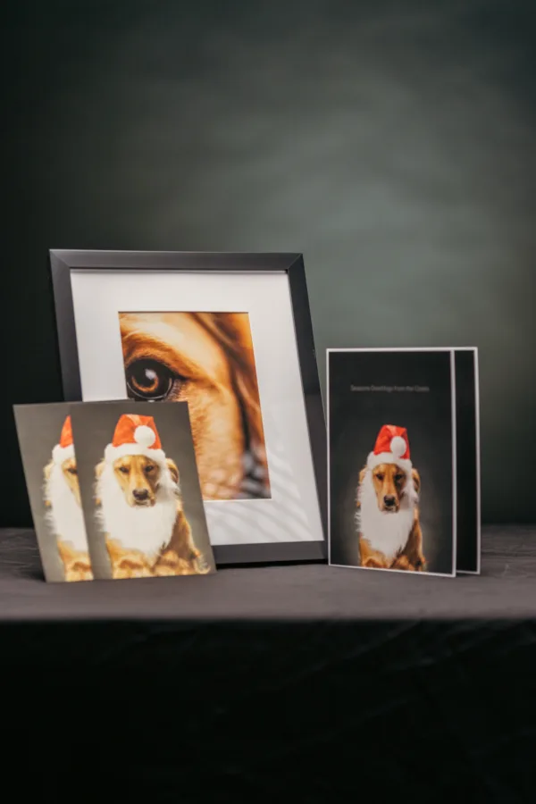 Holiday Prints Gift Package